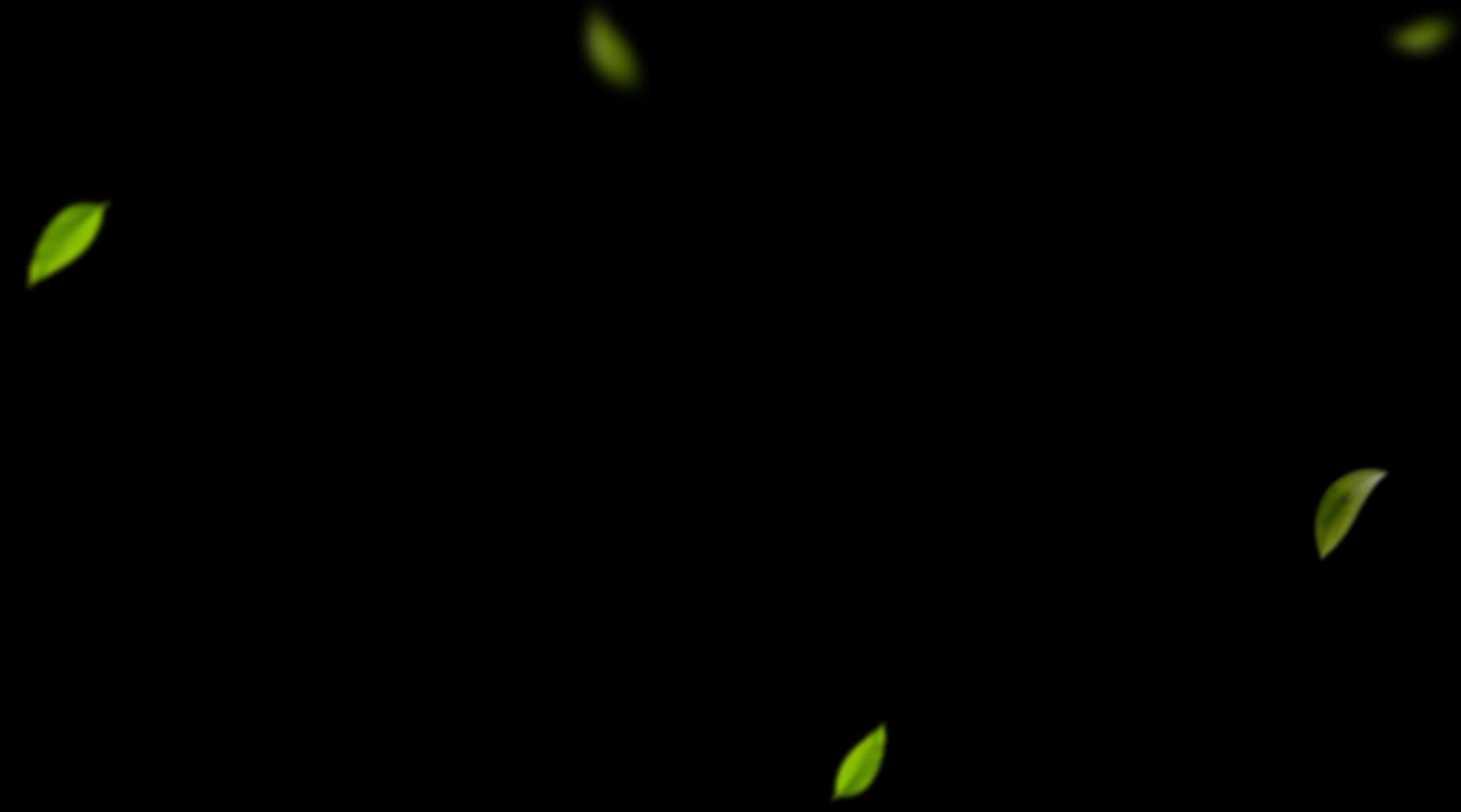 Leaf background